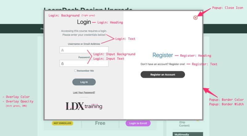 Example of login & registration modal options